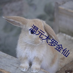 乐虎国际·lehu(中国)官方网站登录