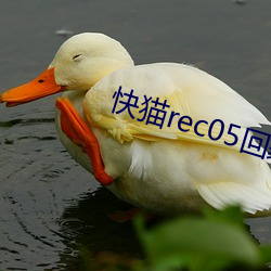 快猫rec05回家导航