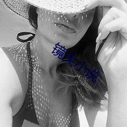 镜头小说
