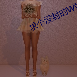 求個沒封的W站2021在線觀