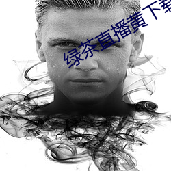 绿茶直播黄下载(zài)安装