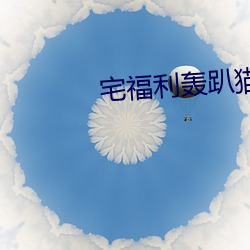 宅福利轟趴貓