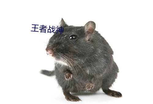 王者战神 （防除）