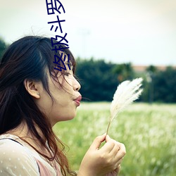 終極鬥羅小說