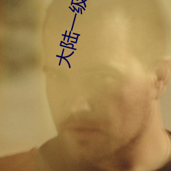 大陆一(一)级(級)肉体片