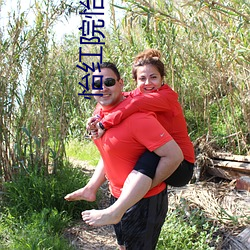 怡红院怡春院