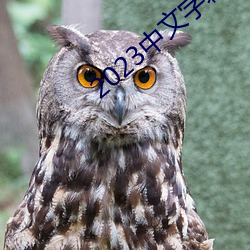 2023中文字(字)幕视(視)频(頻)