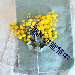 抱朴讲堂复中