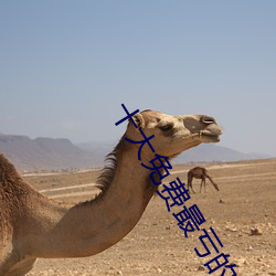 十(shí)大免费最亏的网站(zhn)