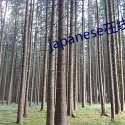 japanese在线播放hom （面目全非）