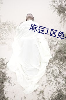 麻豆1区免费(費)bilibili