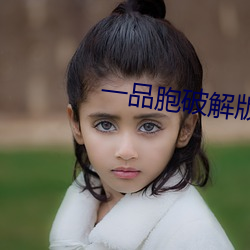 一品胞破解版