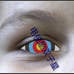 电视剧双子星
