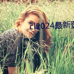 cl2024最新上岸 （画龙刻鹄）