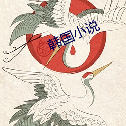 韩(韓)国(國)小(小)说