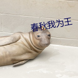 春秋我为王