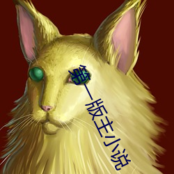 第一版主小说