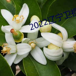 2022辽(遼)宁(甯)卫视春晚