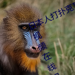 日本人打扑克又痛又叫全集高清正版视频在线观看