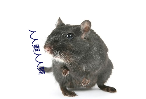 人(rén)人爽(shuǎng)人人爽