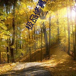 极品修真强少 （缉毒