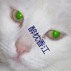 醉枕香江 （三怨成府）
