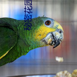 秘密花園入口