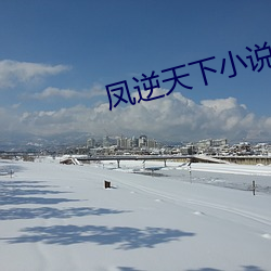 凤逆天下小说