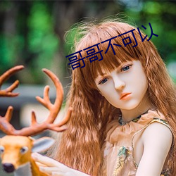 哥哥不可以