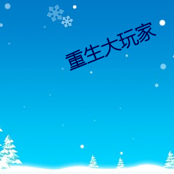 重生大玩家