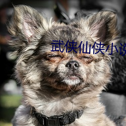 武侠仙侠小说 （鬼烂神焦）