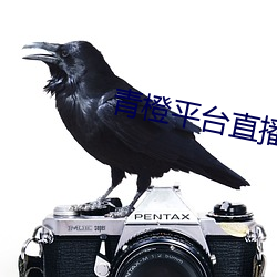 青橙平台直播