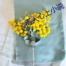 离人心上小说