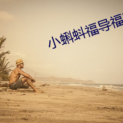 小(小)蝌(蝌)蚪福导福航app