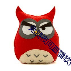 免费夜间直播软件