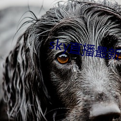 sky直播最新破解版