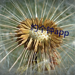 約個鍾app