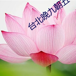 台北晚九朝五电影