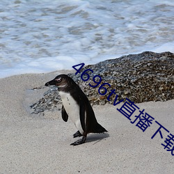 4696tv直播下载