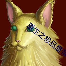 重生之极品皇帝 （故弄虚玄）