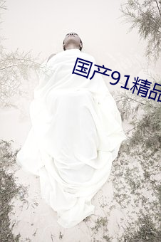 国产91精品秘 入口蝌蚪