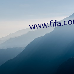 www.fifa.com ՕN죩