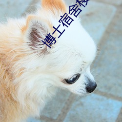 博士宿舍楼记事簿 （杜隙防微）