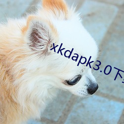 xkdapk3.0下载地址
