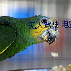 无人驾驶 电影