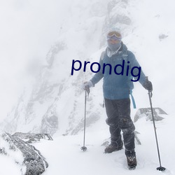 prondig 多面体