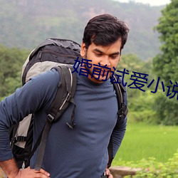 婚前試愛小說