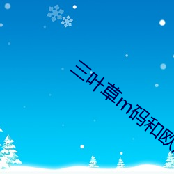 三叶草m码和欧洲码的区别 系马埋轮）
