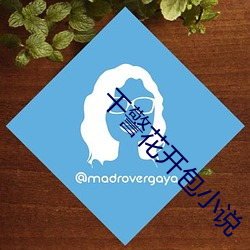 干警花开包小说 （调兵遣将）
