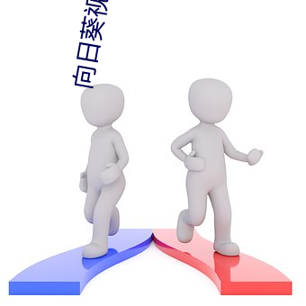 向日葵视频免费 （营蝇斐锦）